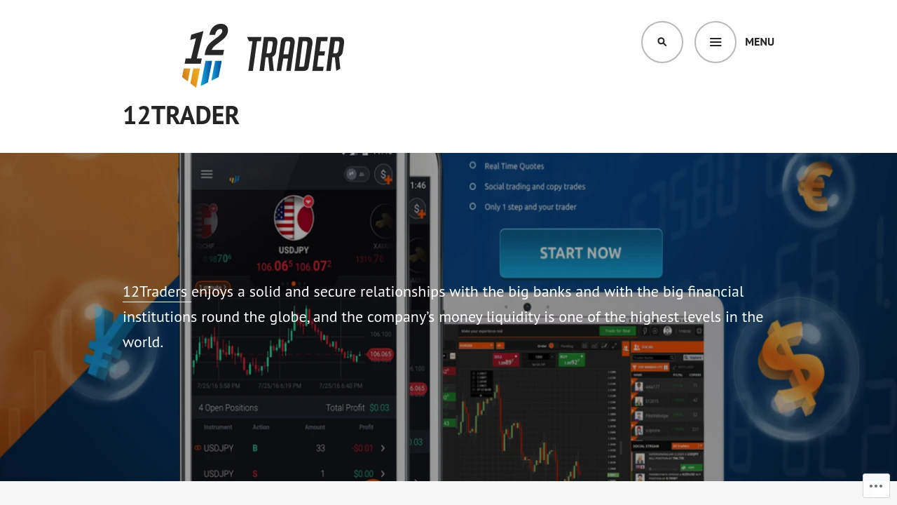 12Trader Website Screenshot